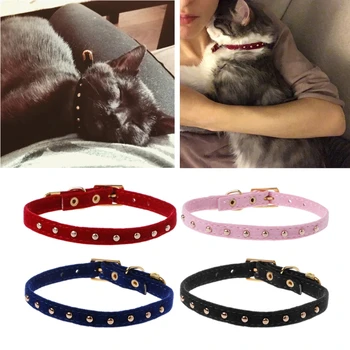 

Adjustable Cat Collar With Rivets for Small Dogs Puppy Cat Pet Velvet Chokers