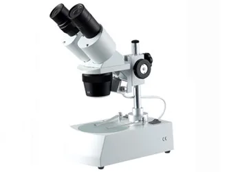 

XT30 Stereo Binocular Microscope 20X/40X Top and Down Light Student Repair Electronic Board Industrial Inspection