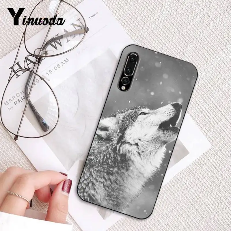 Russian version wolf tiger lion Leopard bear animal