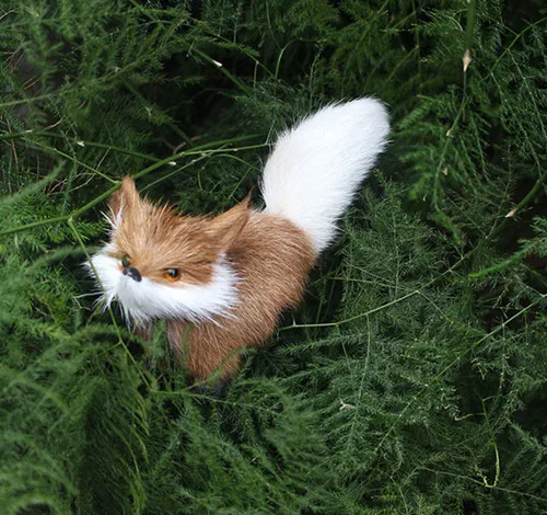 wild animal.jpg