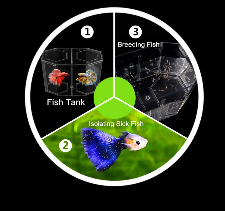 Акриловый резервуар для рыб из гуппи, два раздельных аквариума Betta, прозрачный аквариум, инкубатория, изолирующая коробка для разведения AT009