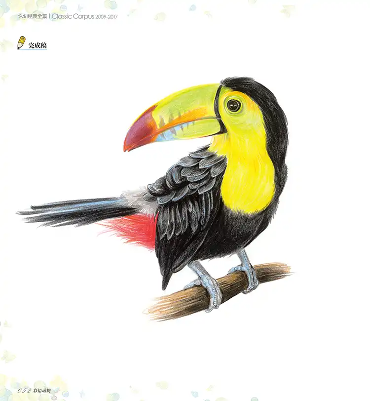 Baru Warna Sketsa Pensil Pencil Sketch Masuk Buku Cina Line