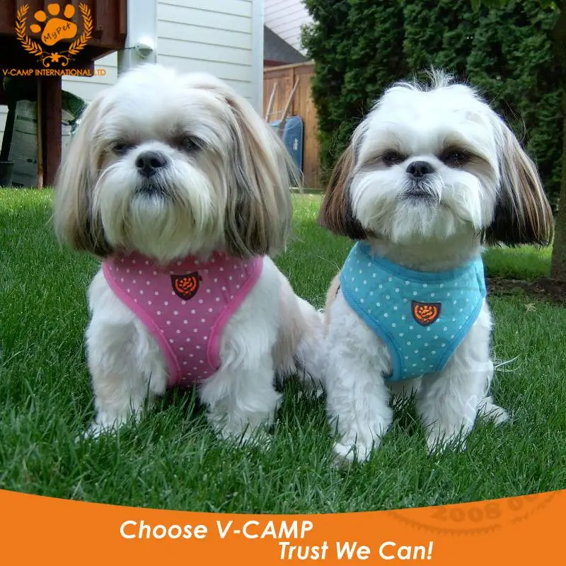 

Dogs Harness Adjustable Safety Belt Walking Small Large Pet Chest Straps Size S M L XL