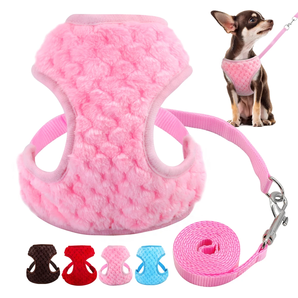 puppy walking harness