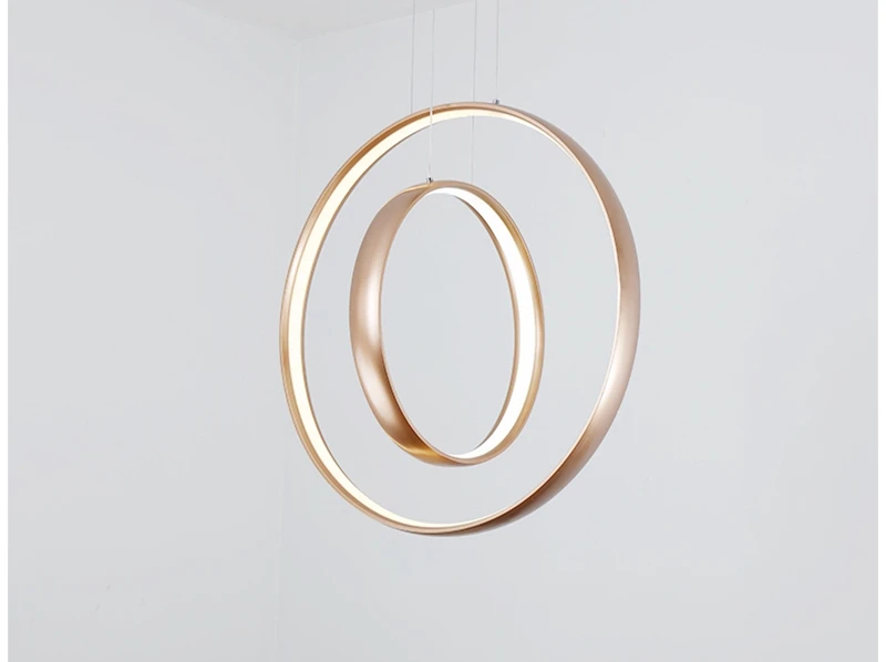 Nordic Creative LED Pendant Lights Lamp Minimalist Aluminum Double Ring LED Hanging Lighting For Dining Room Bar Cafe (7)
