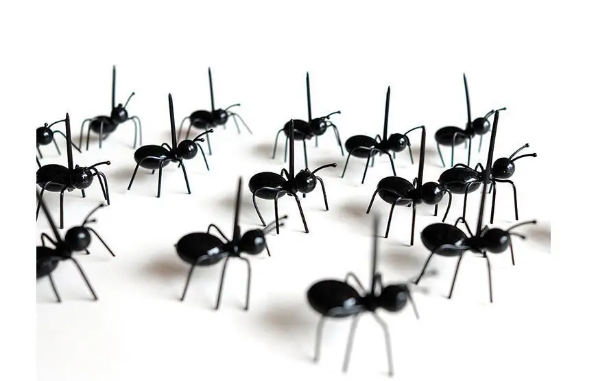 5717952241_1838375206