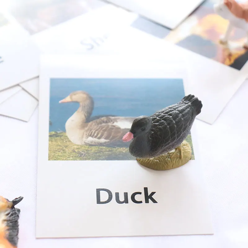 Montessori Toys For 3 Year Olds Poultry Animals Educational Early Learning Toys For Children Birthday Gift MJ1264H Montessori Toys For 3 Year Olds Poultry Animals Educational Early Learning Toys For Children Birthday Gift MJ1264H