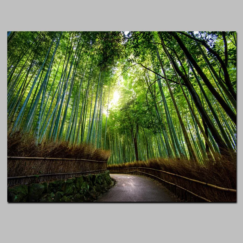 

HD Print Picture Wall Art Framework 1 Piece Kyoto Japan Bamboo Forest Mountain Paths Painting Home Decor Landscape Canvas Poster