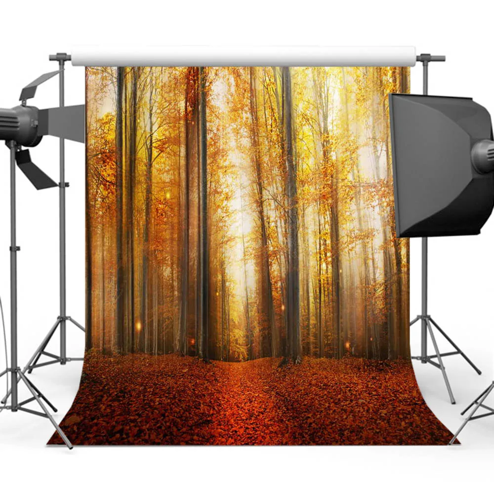 Mehofoto Fall Forest Background for Photography Maple Leaf