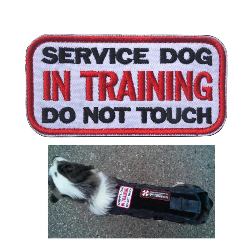 ПТСД служба, собака на тренировках, не трогайте нашивку, значок, боевой дух, собачья терапия, тренировка, Полицейская собака, тактический жилет, сетка, жгут, нашивка