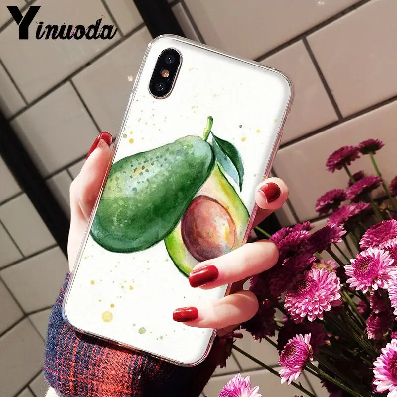Avocado