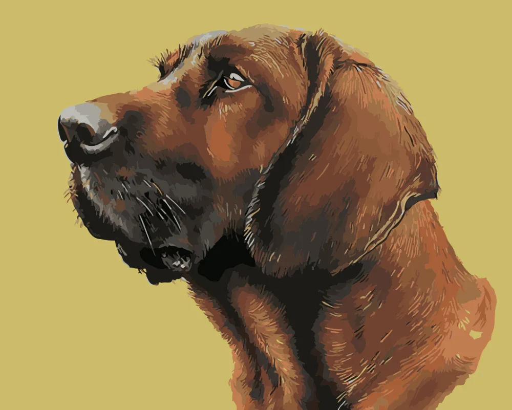 Собака иллюстрация. Нарисовать портрет животных. Портреты животных карандашом. Животные карандашом. Собака рисунок карандашом.