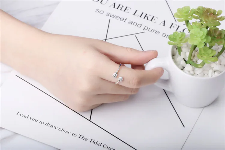 LLGG005