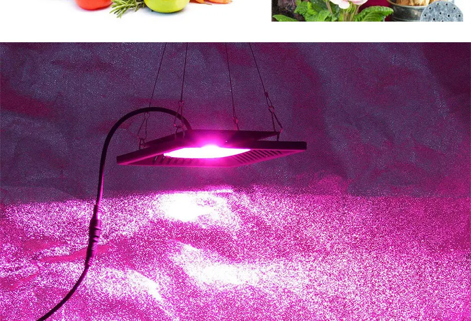 AC 110V 220V LED COB Lamp Chip 20W 30W 50W 100W 150W Full Spectrum LED Plant Grow Light Driverless Smart IC DIY LED Floodlights (20)