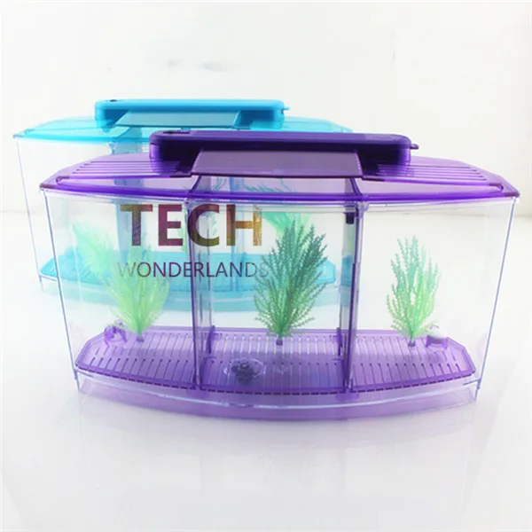 mini aquarium fish tank