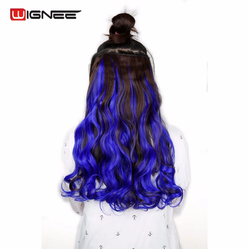 Clip in Hair Extensions (4)