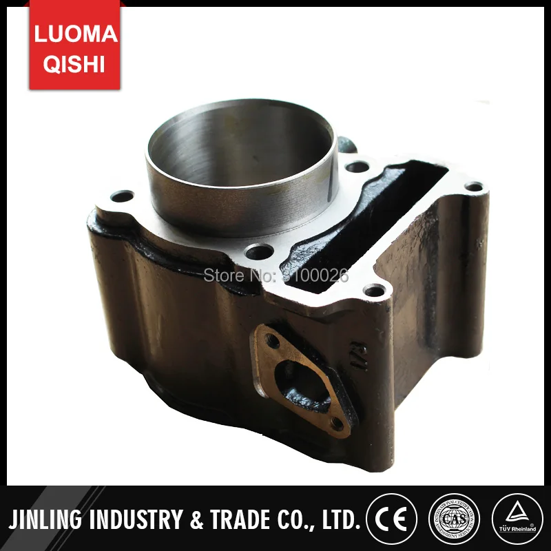 FA-D300-006-1-BUYANG-ATV-PARTS-ENGINE-CYLINDER