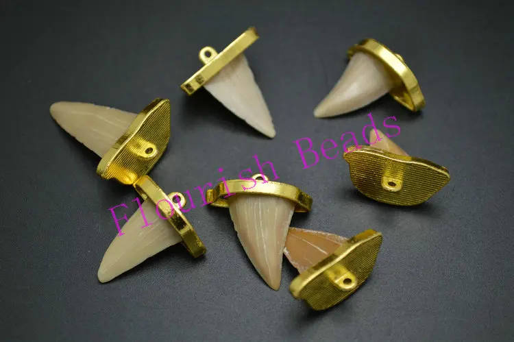 

5pc Real Shark Teeth Gold Caps Bead Charm & Pendants Fit Jewelry Making And Clothing Design DIY Findings Free shipping