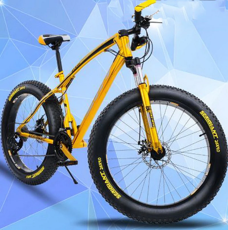 36020170223135340695