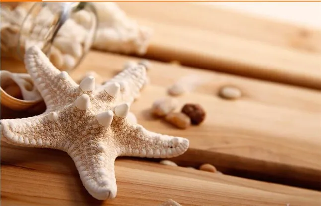 Starfish2