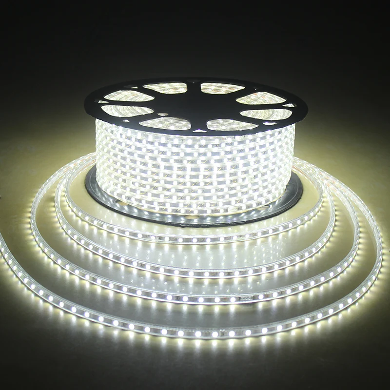 

LAIMAIK AC 220V LED Strip Light Waterproof IP67 LED Tape 60leds/m 5050SMD RGB Flexible 5m 10m String Lighting With Power Plug