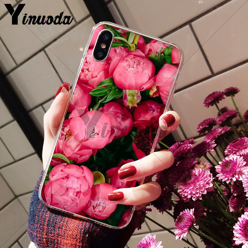 Flower Pink Peonies Peony