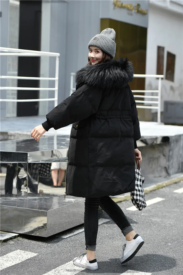 9139823046_1078347601