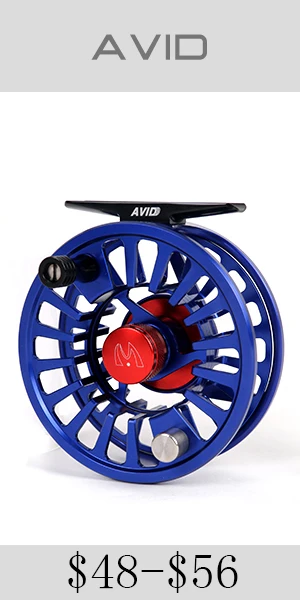 avid1