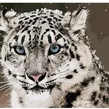 Краска по комплекты номеров для взрослых DIY