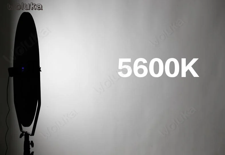 36020181109132435828