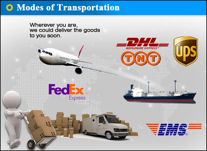 Modes of Transportation_1 (1)