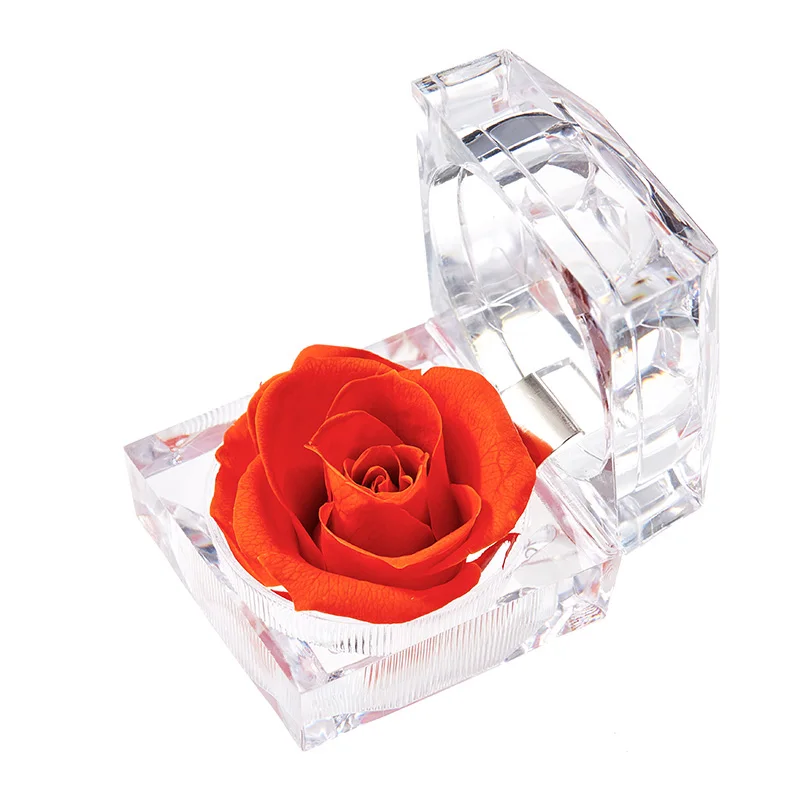 Подарок на День учителя, вечная роза, кольцо, коробка, сушеные цветы, красная настоящая Роза, навсегда, цветок для женщин, подарок на день Святого Валентина, День рождения - Цвет: 28