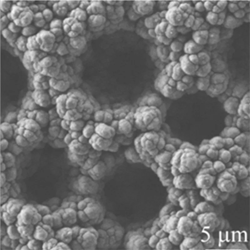 

Titanium mesh supported titanium dioxide nanofiber