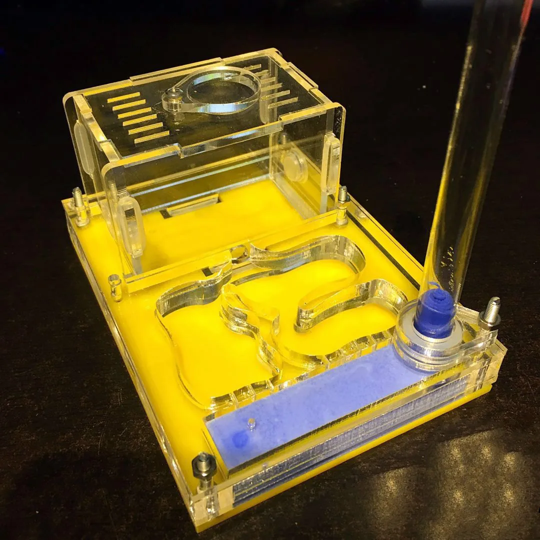 CWXTGS 1 шт. плоское акриловое Муравьиное гнездо(Водная башня издание) украшение стола ящик для насекомых