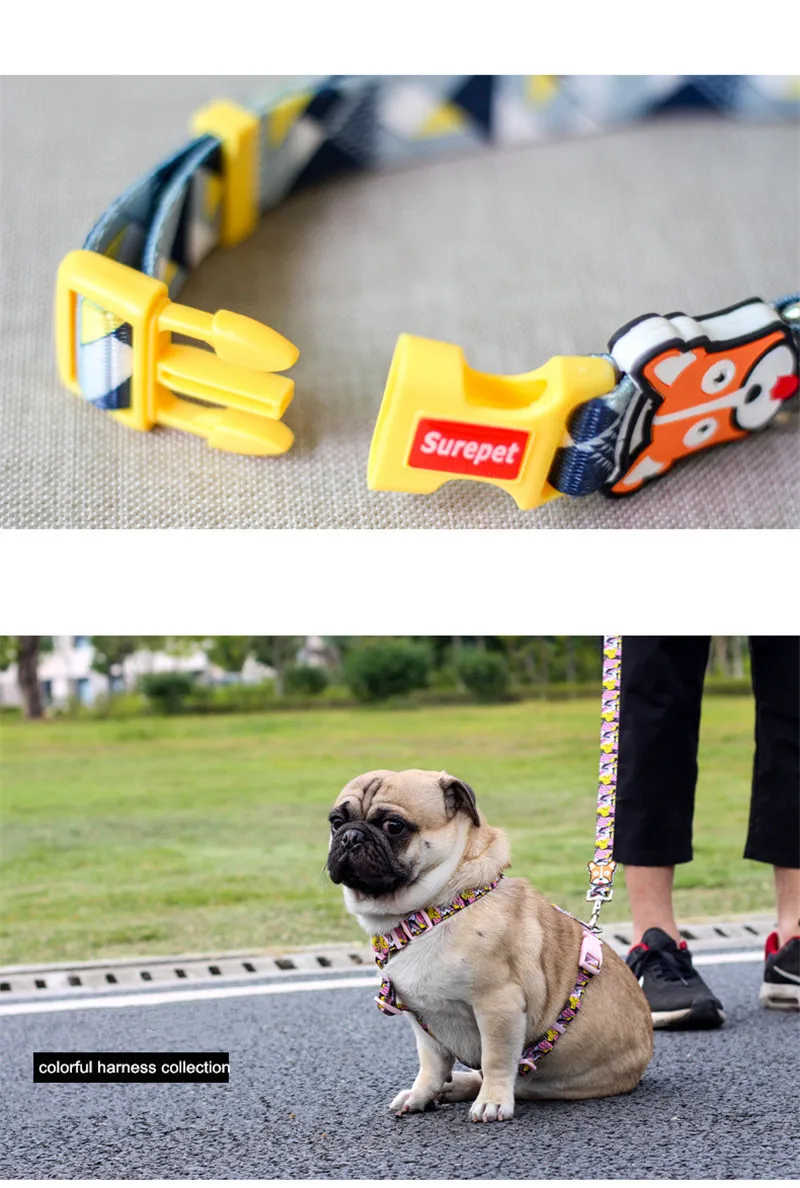 Dog Collars  (14)