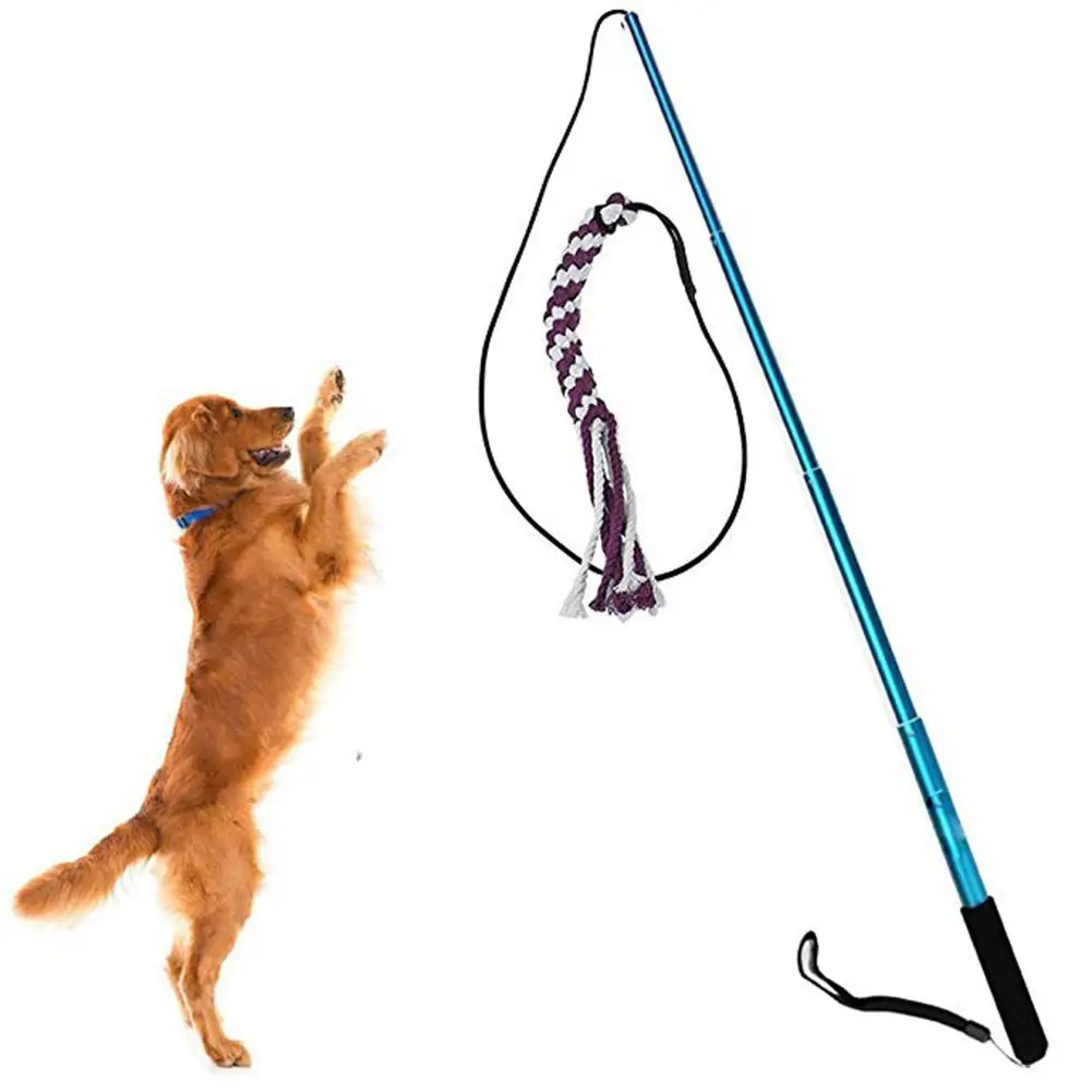 

Retractable Dog Training Rod Funny Pet Dog Cat Stick Interactive toy
