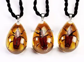 

FREE SHIPPING 12 PCS Real Weevil Bug In Sexy Resin Lucite Necklace Pendant Jewelry Novel Birthday Gift