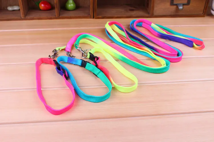 Dog leads 7