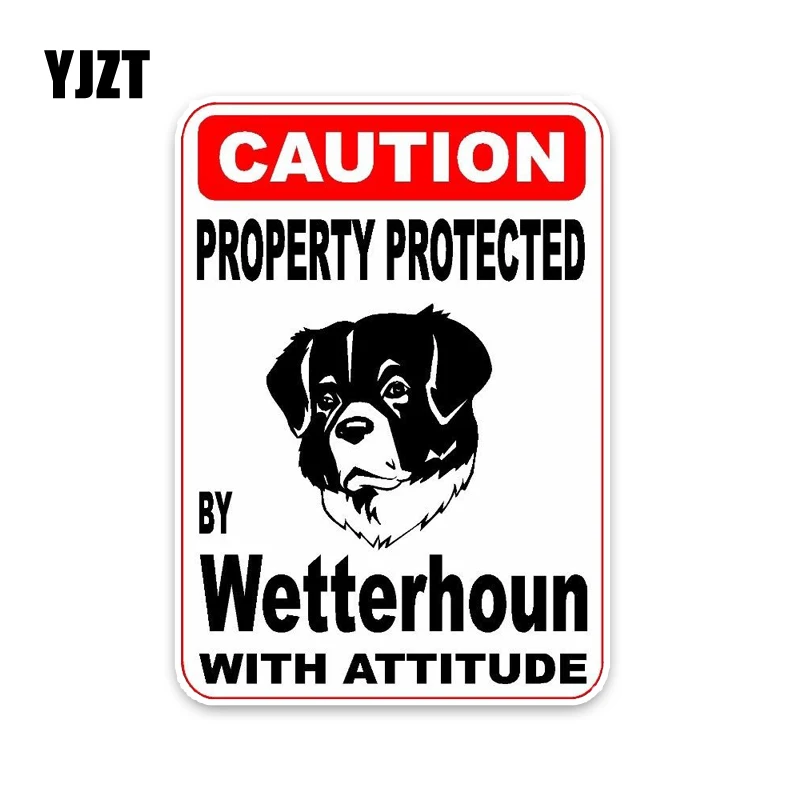 YJZT 10*14.2CM Property Protected By Wetterhoun Dog PVC High Quality Animal Car Sticker C1-4590 | Автомобили и мотоциклы