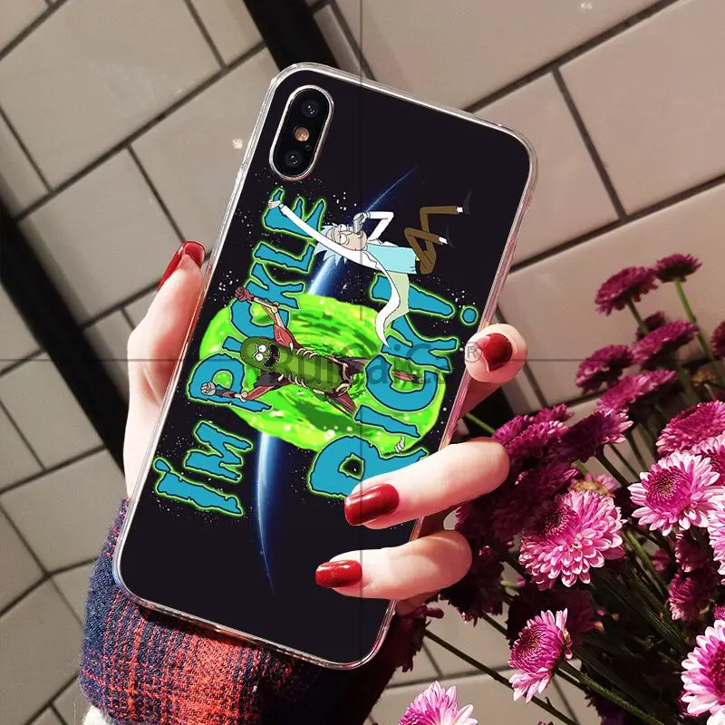 Rick and Morty pickle rick
