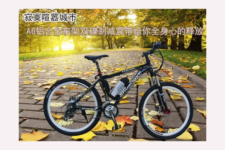 New design 36v 26'' mountain e-bike with 21 speed for North America