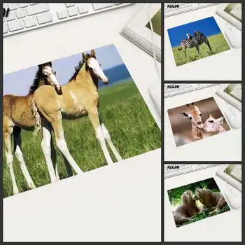 

XGZ Intimate Animal Wallpaper Mouse Pad Rubber Non-slip Speed Version Suitable for Mouse Player Home Office Laptop Desk Mats