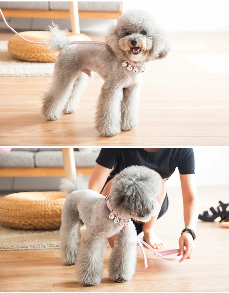 dog chain collar (13)