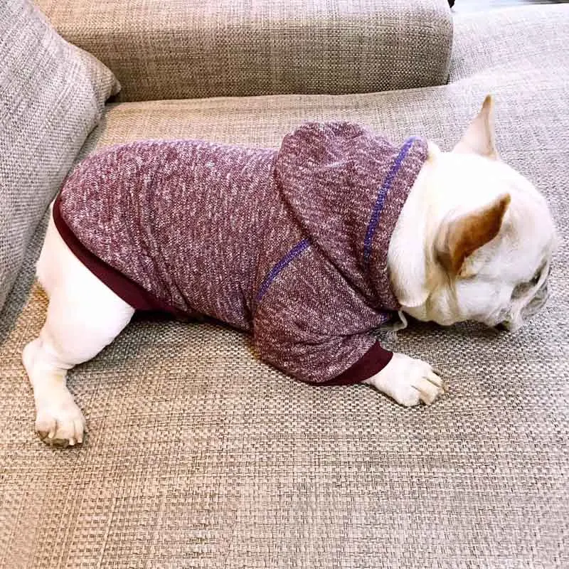 Bigeyedog собачья толстовка с капюшоном, зимняя одежда для собак, пальто для щенков, куртка для собак, наряд чихуахуа, пуделя, одежда с Мопсом, Прямая поставка