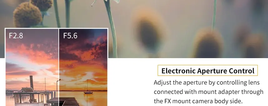 details_011