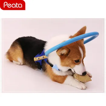 

Blind Pet Anti-collision Ring Scorpion Dog Anti-collision Ring Cataract Animal Protection Circle Guide Protection Ring Y