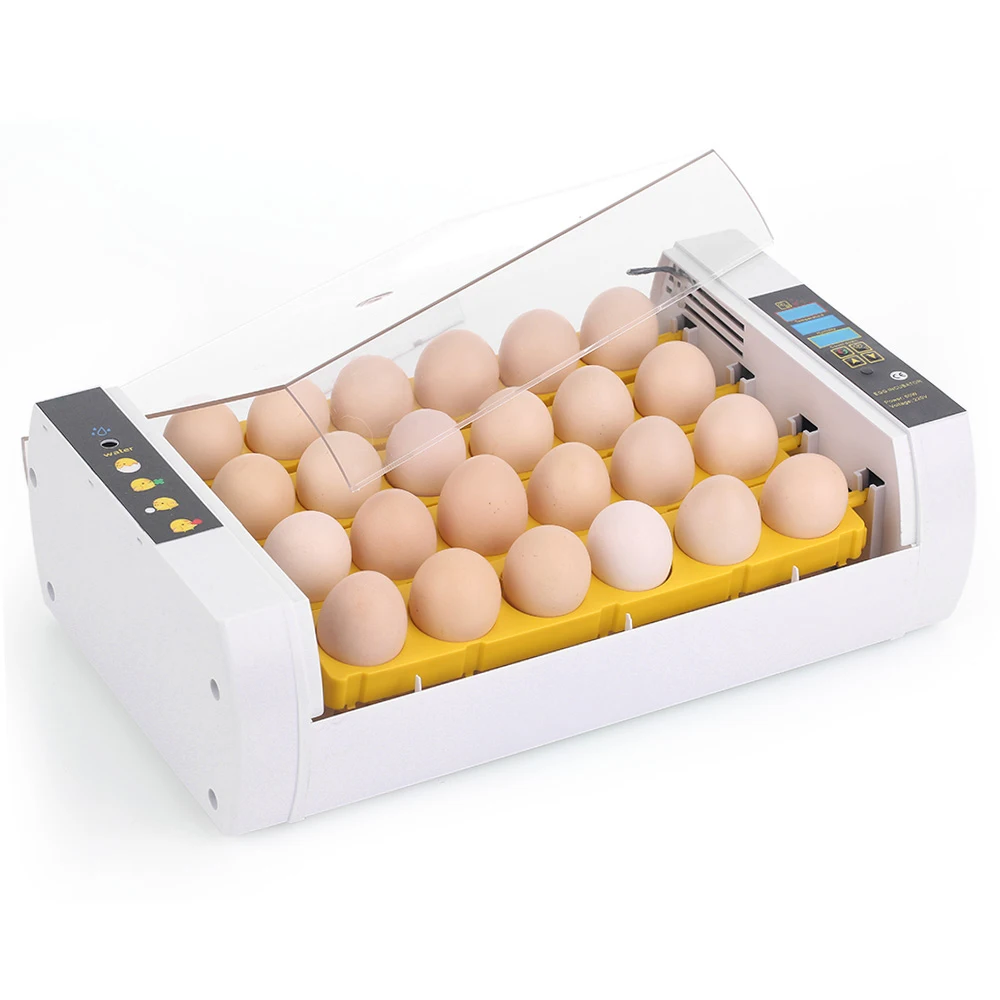 24-Eggs Intelligent Automatic Egg Incubator Temperature Control Hatcher for Hatching Chicken Duck Bird Quail Poultry 24-Eggs Intelligent Automatic Egg Incubator Temperature Control Hatcher for Hatching Chicken Duck Bird Quail Poultry