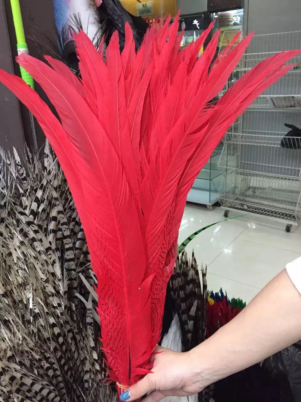 

Wholesale 50pcs/lot Size range 40-80cm 16-32inch Red color Dye Pheasant Feather Plume ,Silver Pheasant Feather performance Plume