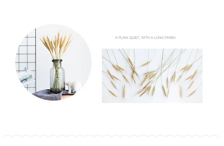 HTB1F8TmqN1YBuNjy1zcq6zNcXXaY