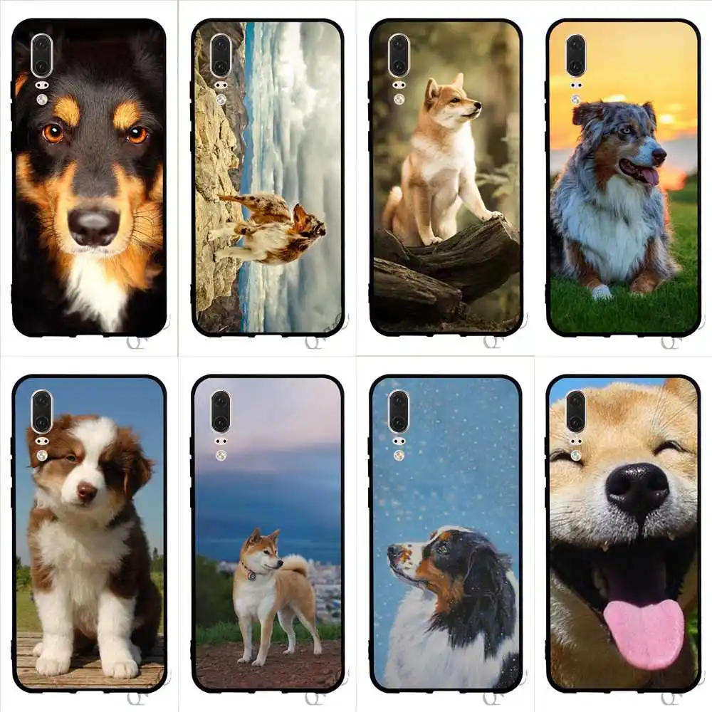 

Colorful Australian Shepherd Shiba Inu Dog Phone Cover for Huawei P20 Lite Case P10 P8 P9 Mini P Smart Mate 10 20 Pro Silicone